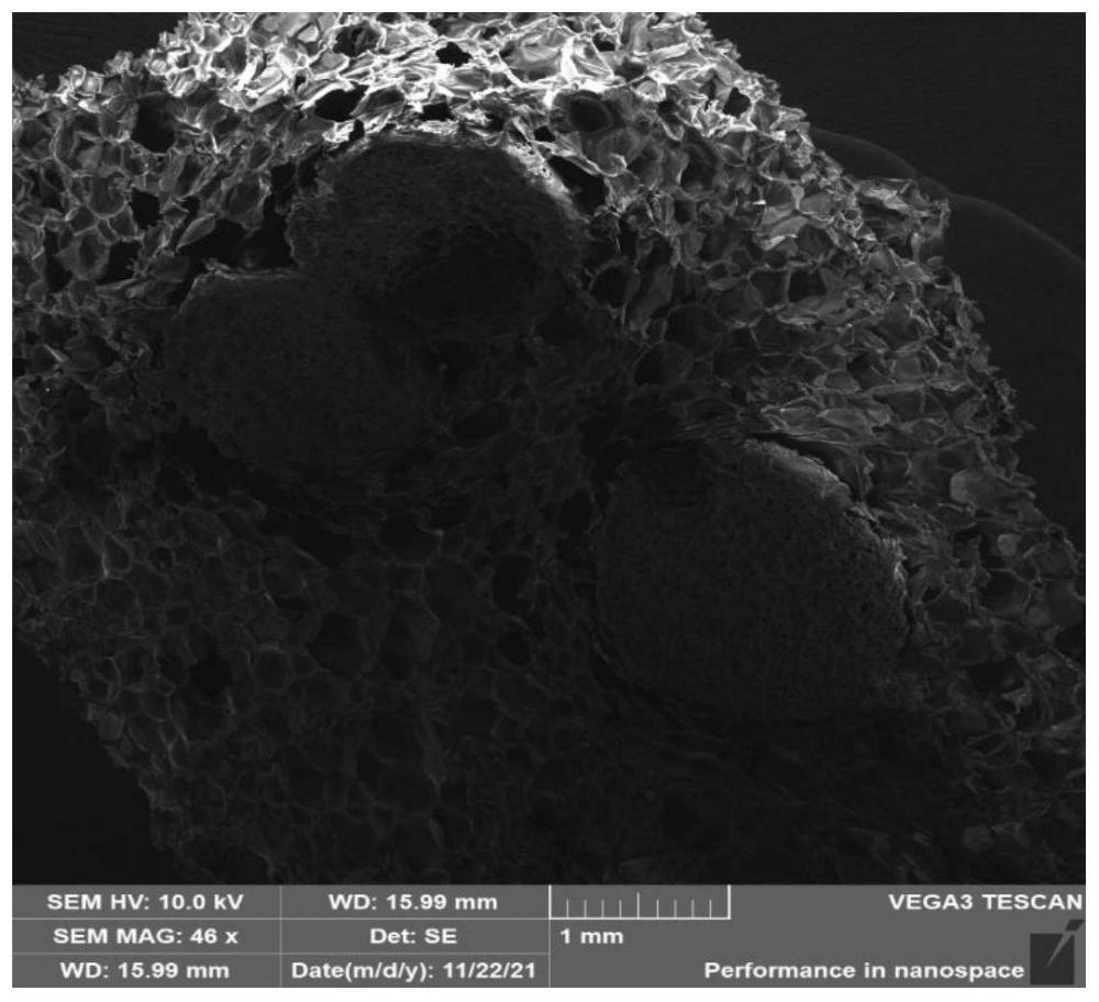 一種改性可發(fā)性聚苯乙烯顆粒、制備方法及其應(yīng)用