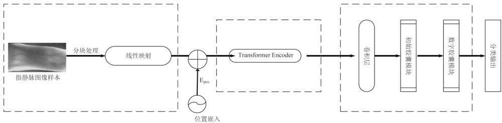 指靜脈識別模型訓(xùn)練方法及識別方法、系統(tǒng)和終端
