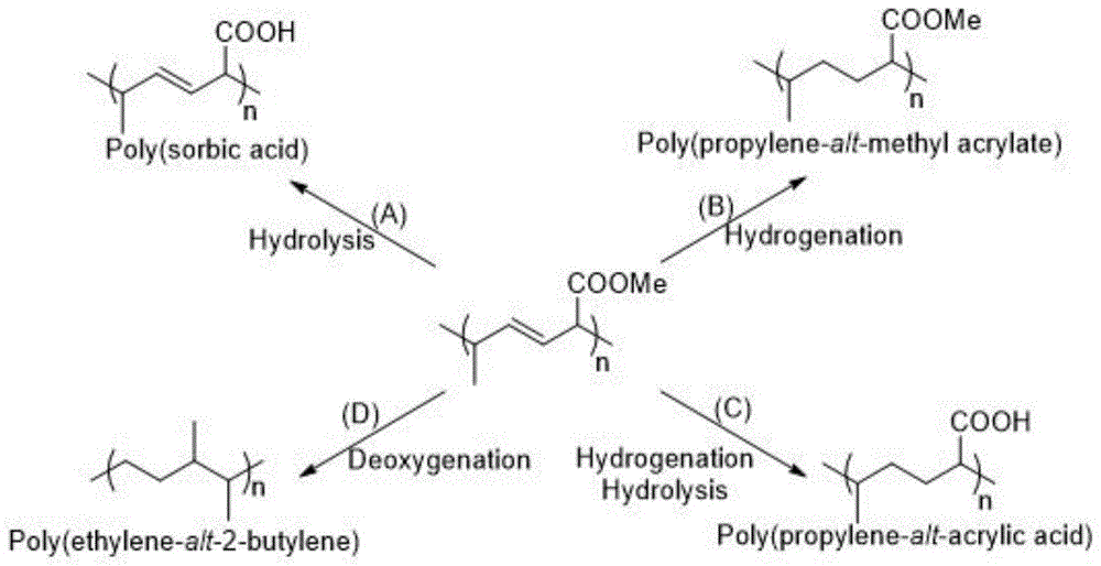一種路易斯堿的應(yīng)用、山梨酸酯聚合物及其衍生物
